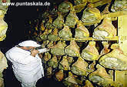 Der Prsut bei seiner Entstehung